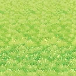 Scenesetter Grasveld